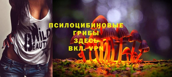 мдпв Наволоки