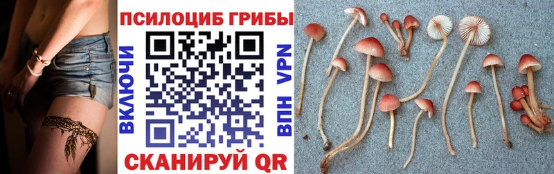 Галлюциногенные грибы GOLDEN TEACHER  кракен сайт  Лосино-Петровский  закладки 