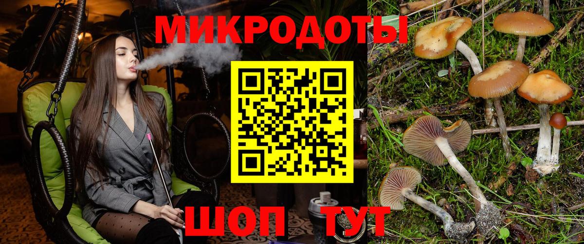 A PVP Лосино-Петровский