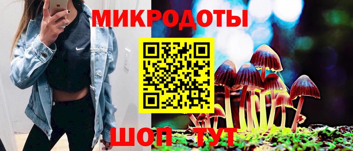Псилоцибиновые грибы Psilocybe  Лосино-Петровский 