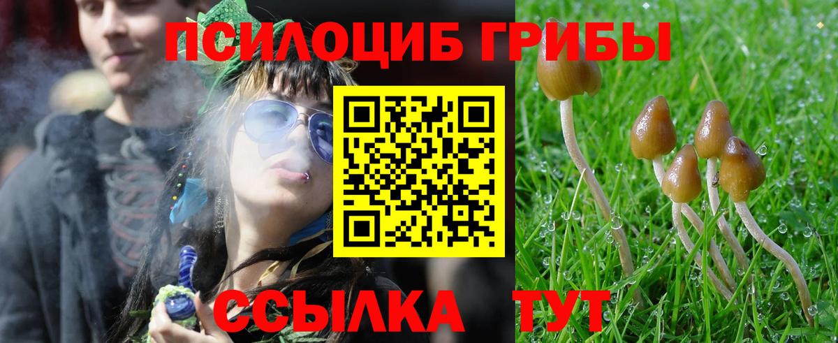 Галлюциногенные грибы Magic Shrooms  Псилоцибиновые грибы GOLDEN TEACHER  Вход с VPN  дарнет шоп  Лосино-Петровский 